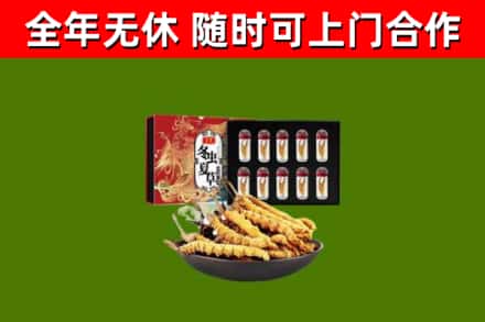 鹿邑烟酒回收冬虫夏草礼盒.jpg