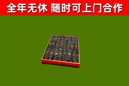 鹿邑回收海参